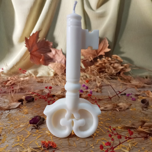 LLAVE ABRECAMINOS